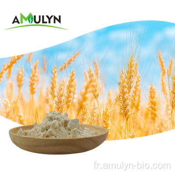 Poudre de protéine de blé hydrolysée concentrée à 80% à base de plantes